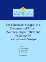 Glutamate Synapse as a Therapeutic Target
