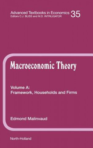 Framework, Households and Firms