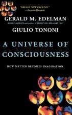 Universe Of Consciousness How Matter Becomes Imagination