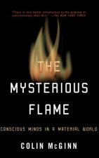 Mysterious Flame