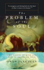 Problem Of The Soul