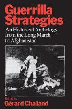 Guerrilla Strategies