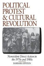 Political Protest and Cultural Revolution