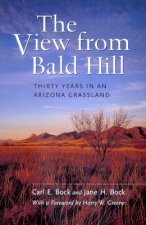 View from Bald Hill