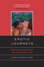Erotic Journeys