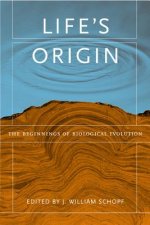 Life's Origin