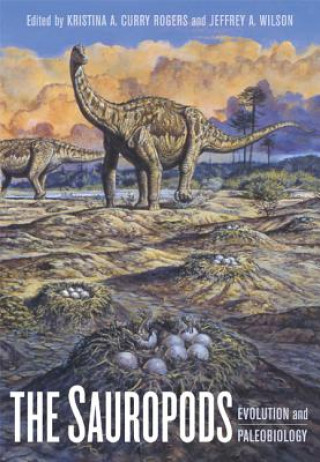 Sauropods