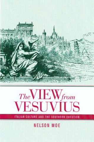 View from Vesuvius