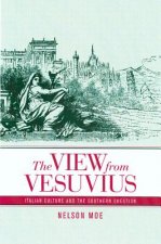 View from Vesuvius