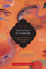Social Space of Language