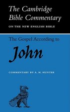 Gospel according to John