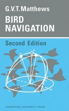 Bird Navigation