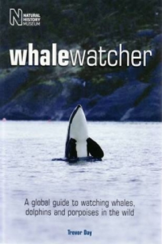 Whale Watcher