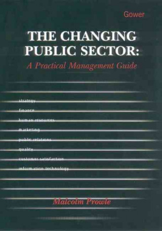 Changing Public Sector: A Practical Management Guide