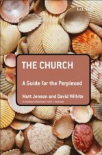 Church: A Guide for the Perplexed
