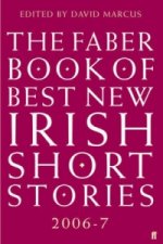 Faber Book of Best New Irish Short Stories 2006-07