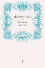 Siamese White