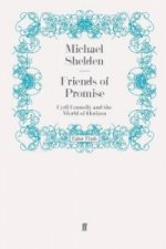 Friends of Promise