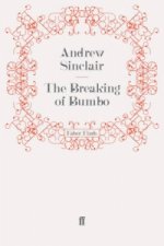 Breaking of Bumbo