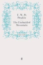 Embattled Mountain