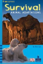 Four Corners: Survival: Animal Adaptations (Pack of Six)