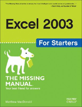 Excel 2003 for Starters the Missing Manual