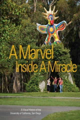 Marvel Inside a Miracle