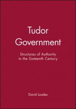 Tudor Government