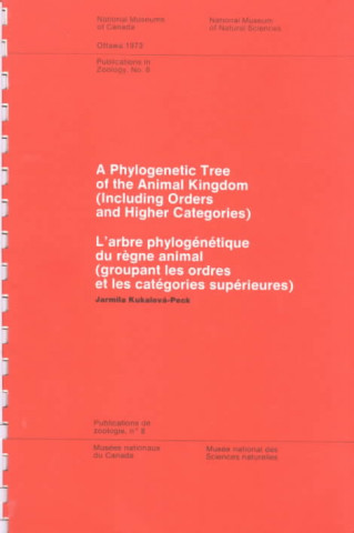 Phylogenic Tree of the Animal Kingdom