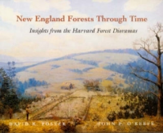 New England Forests Through Time