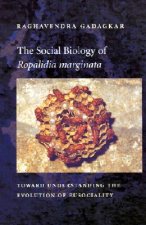 Social Biology of Ropalidia marginata