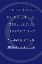 Economic Structure of Intellectual Property Law