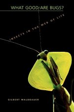 What Good Are Bugs?