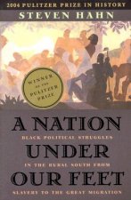 Nation under Our Feet