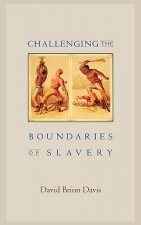 Challenging the Boundaries of Slavery