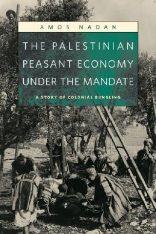 Palestinian Peasant Economy under the Mandate