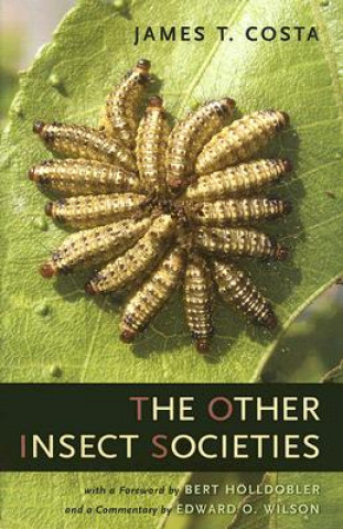 Other Insect Societies