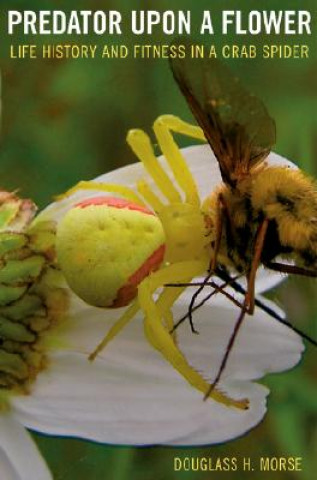 Predator upon a Flower