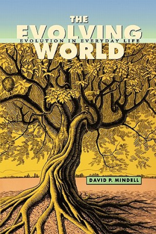 Evolving World