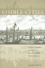 Visible Cities
