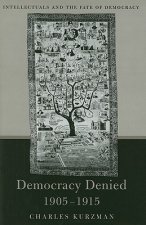 Democracy Denied, 1905-1915