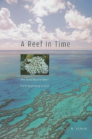 Reef in Time