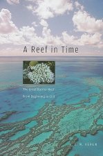 Reef in Time