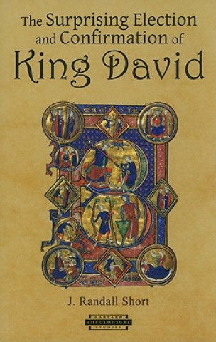 Surprising Election and Confirmation of King David