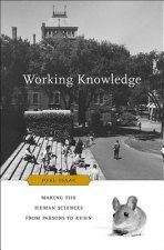 Working Knowledge