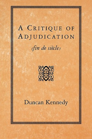 Critique of Adjudication