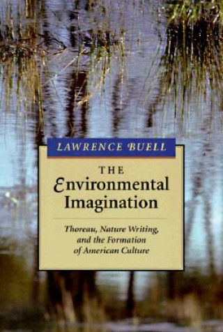Environmental Imagination