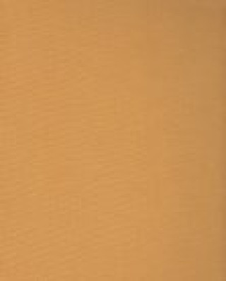 Insect Societies (Edward O. Wilson)(Twarda)