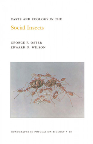 Caste and Ecology in the Social Insects. (MPB-12), Volume 12 (George F. Oster,Edward O. Wilson)()