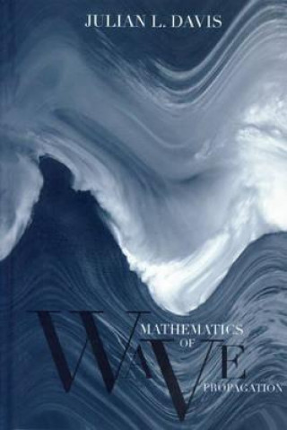 Mathematics of Wave Propagation